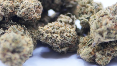SB.01