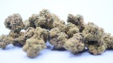 SB.01