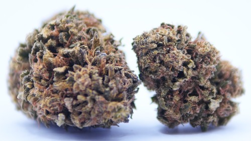 SB.02