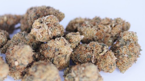 SB.03