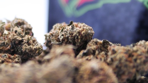 SB.03