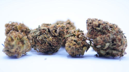 SB.04