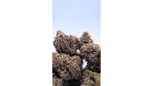 SB.04
