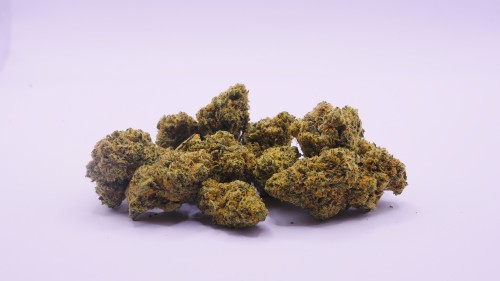 SB.01