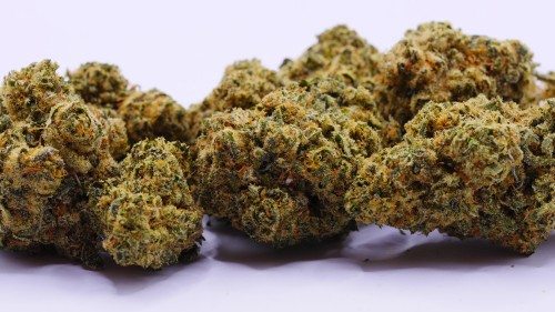 SB.01