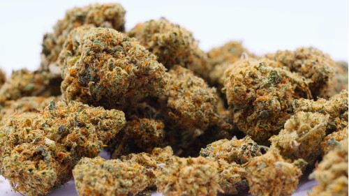 SB.02