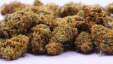 SB.02