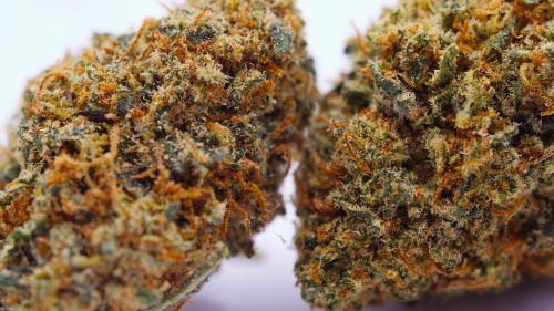 SB.02