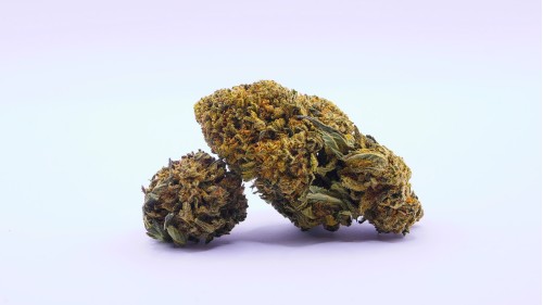 SB.03