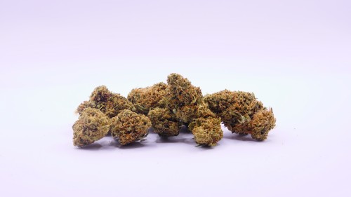 SB.03