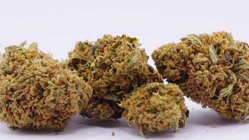SB.04