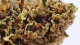 SB.04