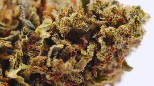 SB.04