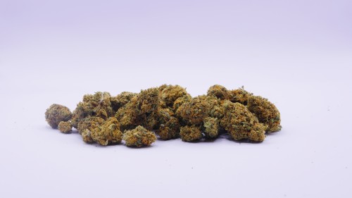 SB.04