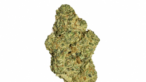 SB.01