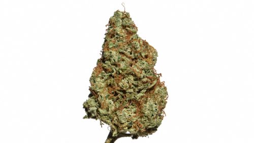 SB.02