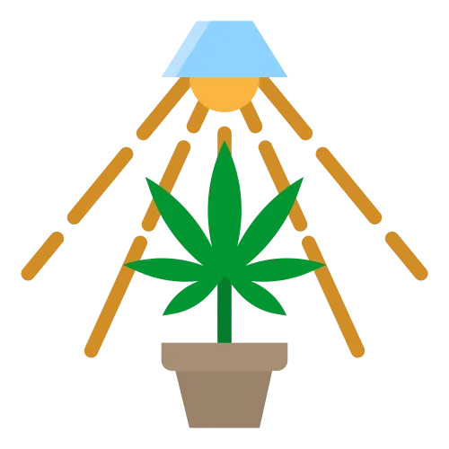 Fleurs Indoor