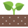 Caractéristiques : Living Soil